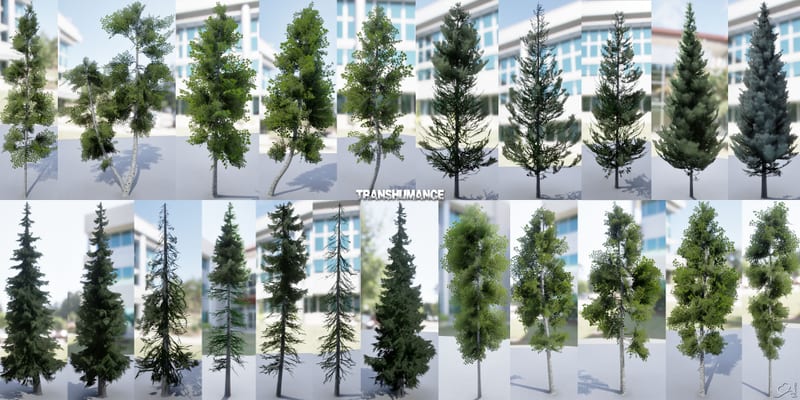 Transhumance — trees 1