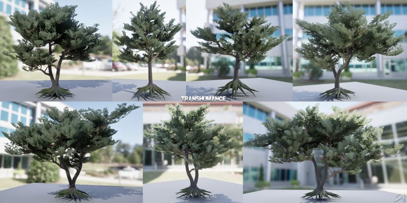 Transhumance — trees 2