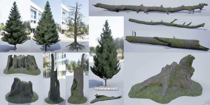 Transhumance — trees 3