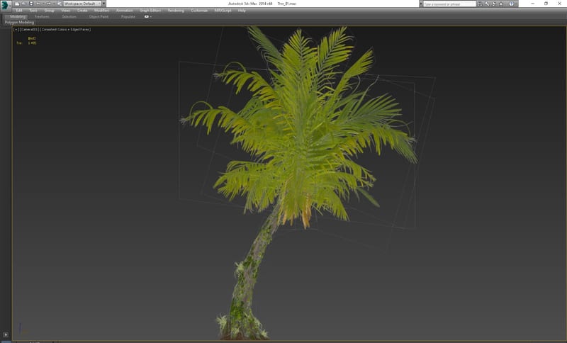 UAYEB — Tree 01 LOD2