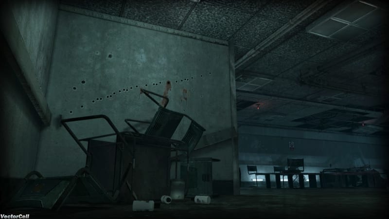 A.M.Y. 14